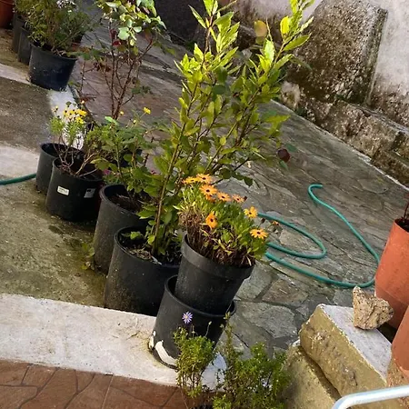μεζονέτα στους αγίους δέκα κέρκυρας * Agioi Deka (Corfu)